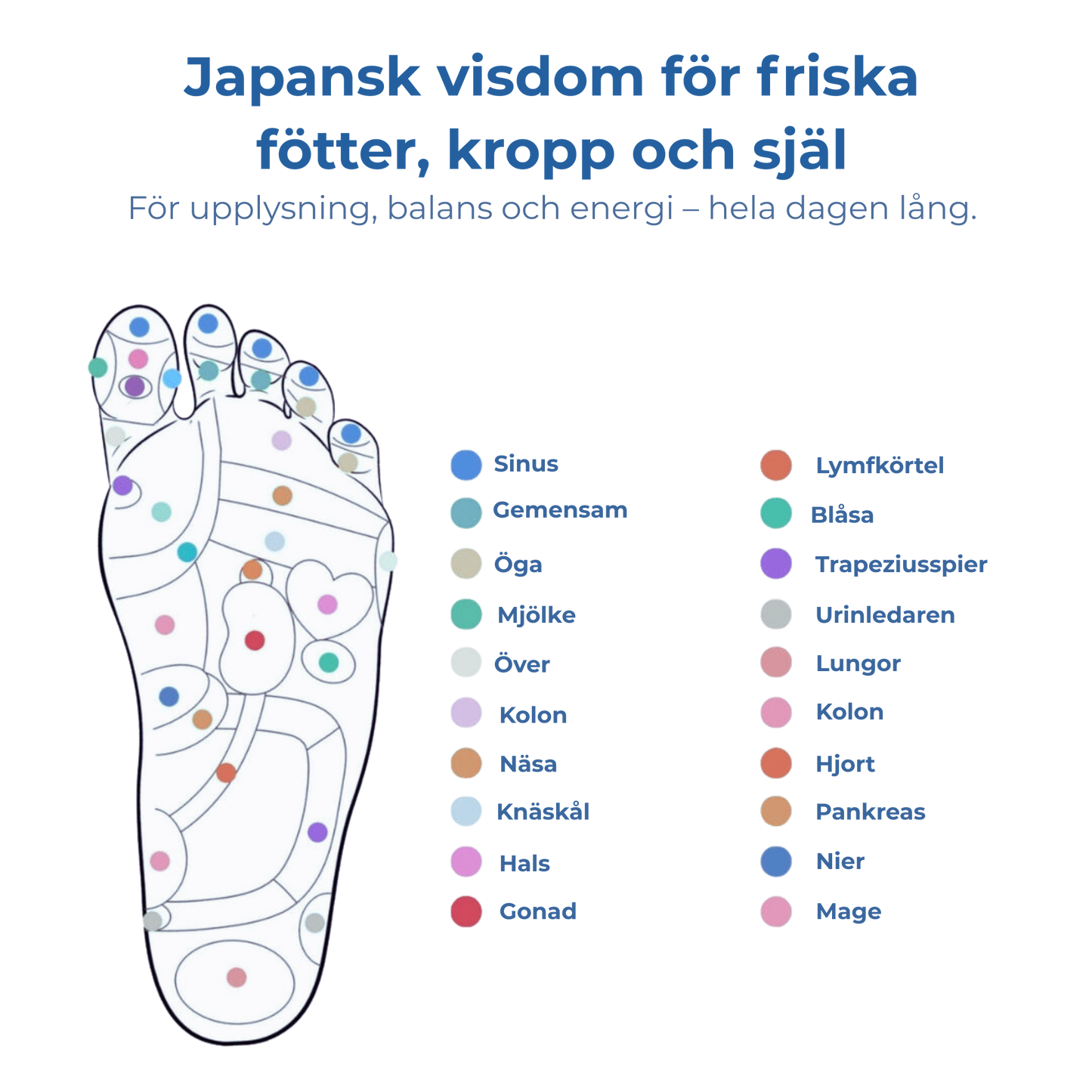 FotLugn™ - Steg för steg mot smärtfrihet.