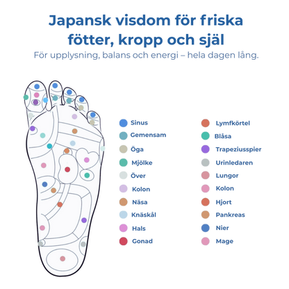 FotLugn™ - Steg för steg mot smärtfrihet.