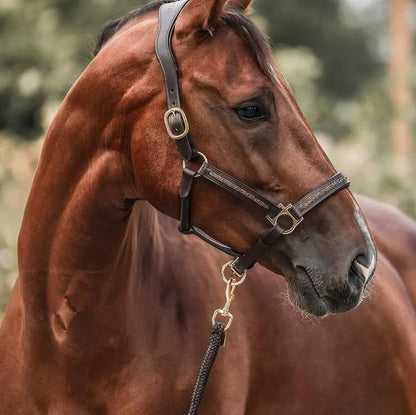 Stallglans™ – Adventskalender 12 lyxiga överraskningar för hästälskare