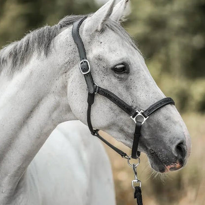 Stallglans™ – Adventskalender 12 lyxiga överraskningar för hästälskare