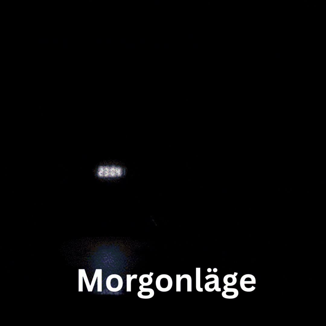 GlowRise™ | Multifunktionell väckarklocka med LED, högtalare & trådlös laddning