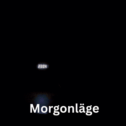 GlowRise™ | Multifunktionell väckarklocka med LED, högtalare & trådlös laddning