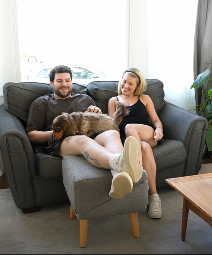 PälsTrapp™ –Trygga steg för äldre och små hundar