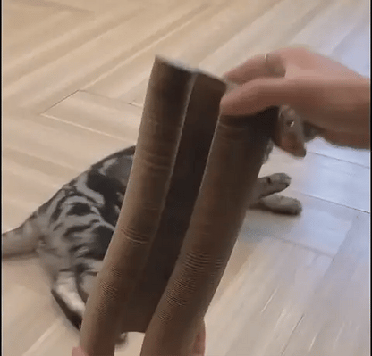 FlexiPaw™ | Din katts drömplats för lek, klös och vila! 🐾