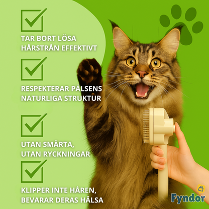 PurrBrush™ | Stoppa hårstrån – håll hemmet rent