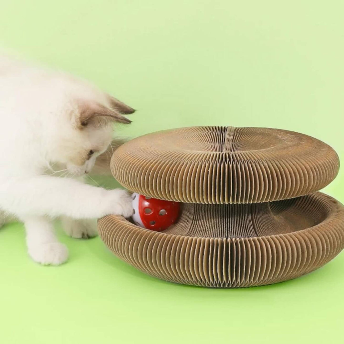 FlexiPaw™ | Din katts drömplats för lek, klös och vila! 🐾