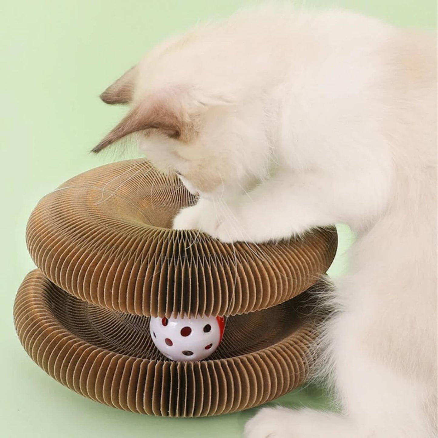 FlexiPaw™ | Din katts drömplats för lek, klös och vila! 🐾