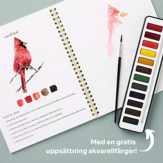 Aquarella™ | Där avkoppling blir konst.