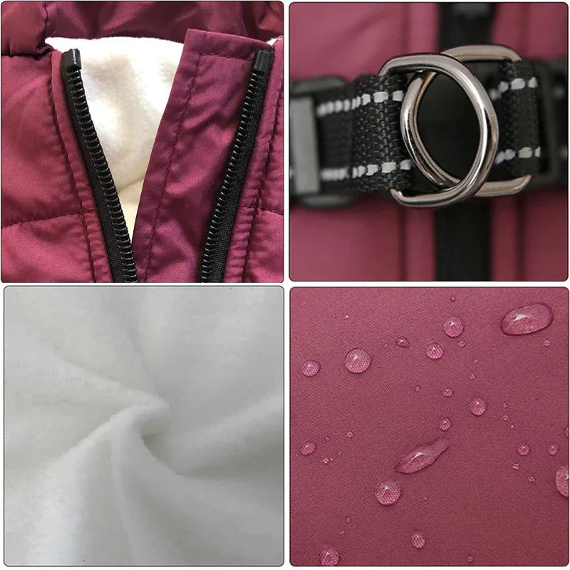 PawTrek™ Winter Coat | Värme och skydd för varje promenad