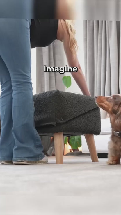 PälsTrapp™ –Trygga steg för äldre och små hundar